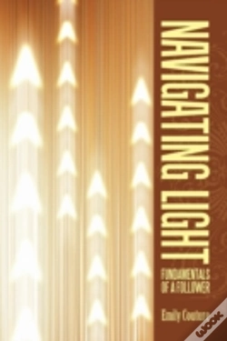 Capa do artigo Navigating Light