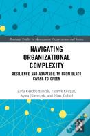 Navigating Organizational Complexity