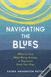 Capa do artigo Navigating The Blues