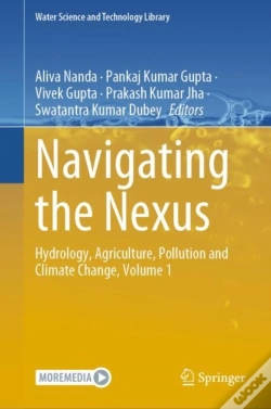 Capa do artigo Navigating The Nexus