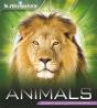 Navigators: Animals - Preview