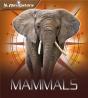 Navigators: Mammals - Preview