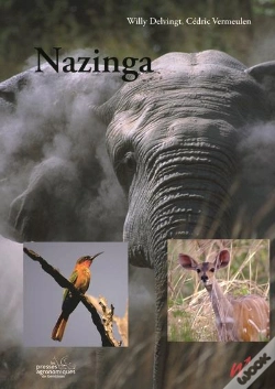 Capa do artigo Nazinga