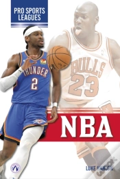 Capa do artigo Nba