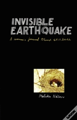 Capa do artigo Ndlovu: Invisible Earthquake