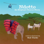 Ndotto - Preview
