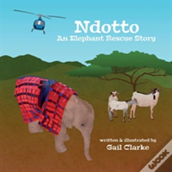 Capa do artigo Ndotto