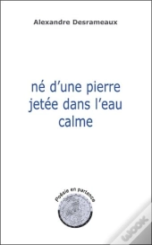 Ne D'Une Pierre Jetee Dans L'Eau Calme