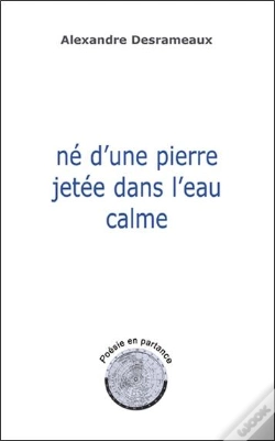 Capa do artigo Ne D'Une Pierre Jetee Dans L'Eau Calme