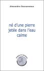Ne D'Une Pierre Jetee Dans L'Eau Calme - Preview