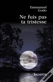 Capa do artigo Ne Fuis Pas Ta Tristesse