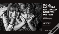 Capa do artigo Ne Sois Pas Effraye Par Le Pollen Dans L'Oeil Des Filles