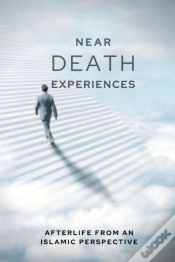 Capa do artigo Near-Death Experiences