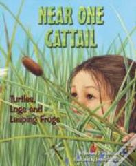 Near One Cattail