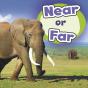 Near Or Far - Preview