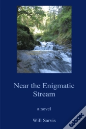 Capa do artigo Near The Enigmatic Stream