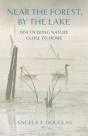 Near The Forest, By The Lake - Preview