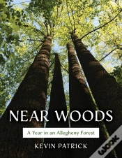 Capa do artigo Near Woods