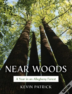 Capa do artigo Near Woods