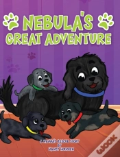 Capa do artigo Nebula