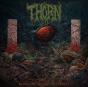 Nebulous Womb of Eternity - CD - Preview