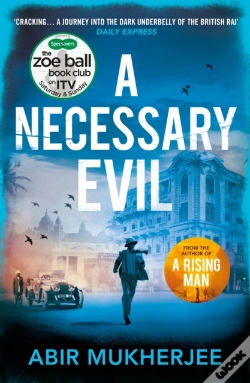 Capa do artigo Necessary Evil