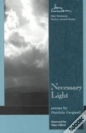 Capa do artigo Necessary Light