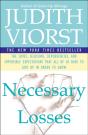 Necessary Losses - Preview