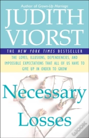 Capa do artigo Necessary Losses