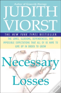 Capa do artigo Necessary Losses