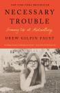 Necessary Trouble - Preview