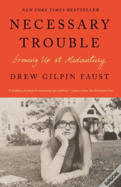 Capa do artigo Necessary Trouble