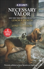 Capa do artigo Necessary Valor