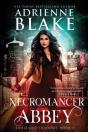Necromancer Abbey - Preview