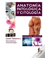 Capa do artigo Necrosias Y Macroscopias