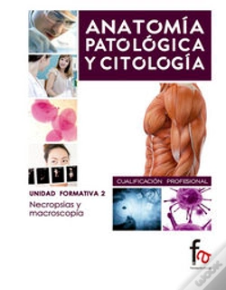 Capa do artigo Necrosias Y Macroscopias