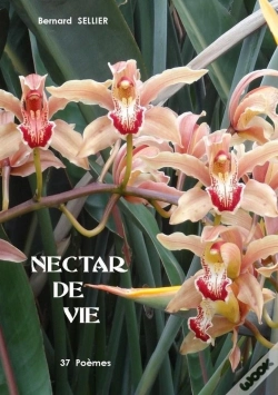 Capa do artigo Nectar De Vie