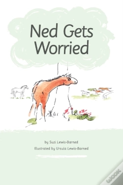 Capa do artigo Ned Gets Worried