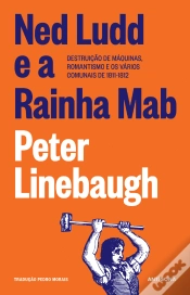 Capa do artigo Ned Ludd e a Rainha Mab