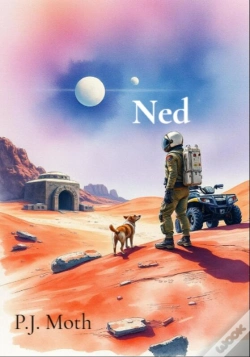 Capa do artigo Ned