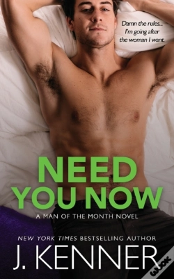 Capa do artigo Need You Now