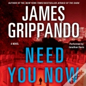 Capa do artigo Need You Now