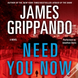 Capa do artigo Need You Now