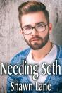 Needing Seth - Preview