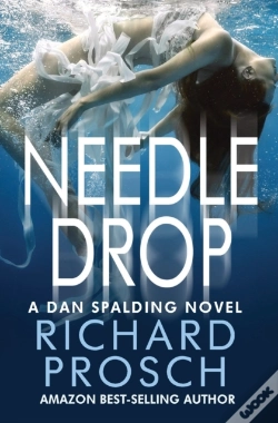 Capa do artigo Needle Drop