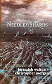 Needle // Shards