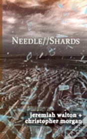 Capa do artigo Needle // Shards