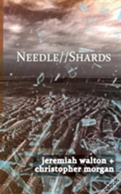Capa do artigo Needle // Shards