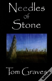 Capa do artigo Needles Of Stone