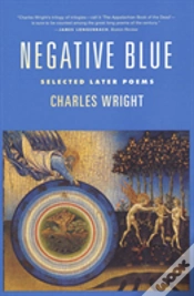 Capa do artigo Negative Blue